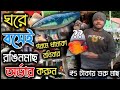 গরমে ঘরে বসেই কমদামের মধ্যে রঙিনমাছ অর্ডার করুন😱serampore pet market।aquarium fish market hooghly