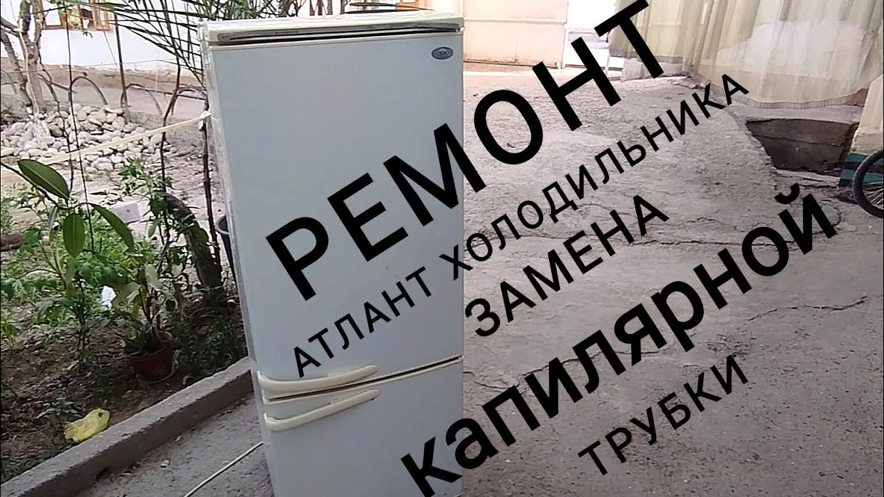 АТЛАНТ ХОЛОДИЛЬНИК РЕМОНТ - YouTube