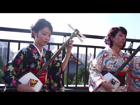 Video: Japansk Paddlax