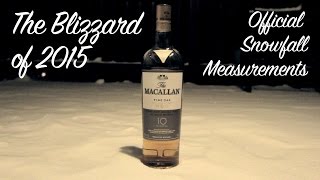 Blizzard of 2015 Snowfall Time Lapse - Juno