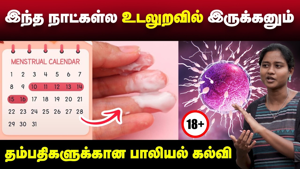 இயற்கையா கருவுற சிறந்த வழி👌🏻| தம்பதிகள் தெரிந்துகொள்ளணும் | 3 Tips to conception