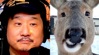 "That looks nothing like me!" Bobby Lee Hates The Korean Deer