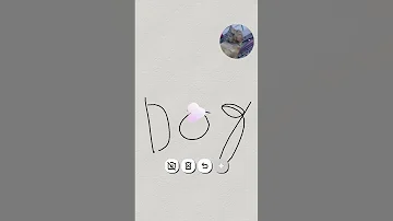 26 August 2025 