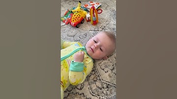 Blue heelers are so smart!