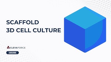 Types of 3D Cell Culture - Scaffold 3D Cell Culture