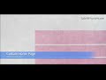 Custom Home Page - Web 2.0 Directory plugin for WordPress