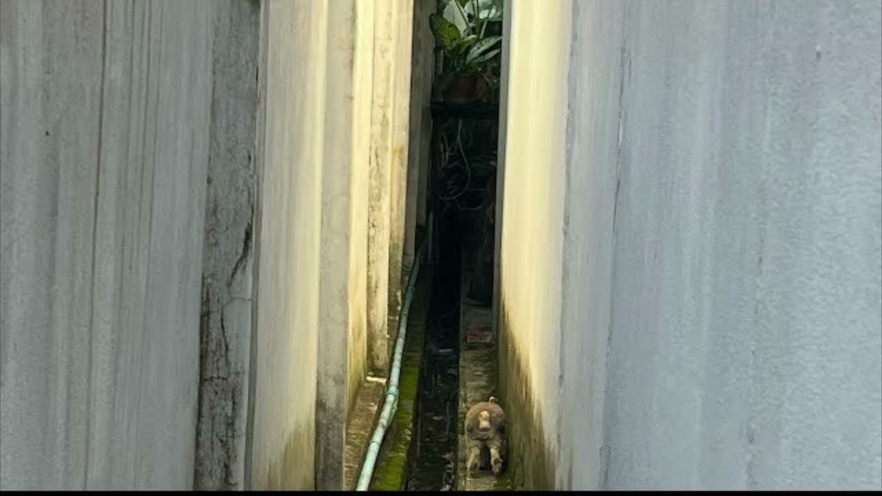 ความในใจ(Inner speech)