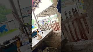 #song #trendingshorts #trending #villagelife #chowk