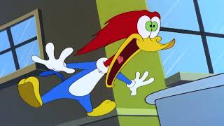 Pica-Pau A Cura Mágica Desenhos Animados Em Português