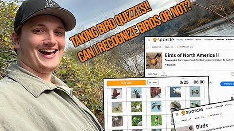 Taking Sporcle Bird Quizzes- How Well Can I Recognize Birds From Photos