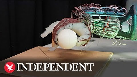 Scientists design robot that can grasp objects by feeling with 