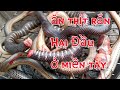 eat snake meat in Vietnam - ăn rắn hai đầu ở miền tây
