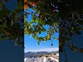 Frigiliana, Andalucia, SPAIN #andalucia #frigiliana