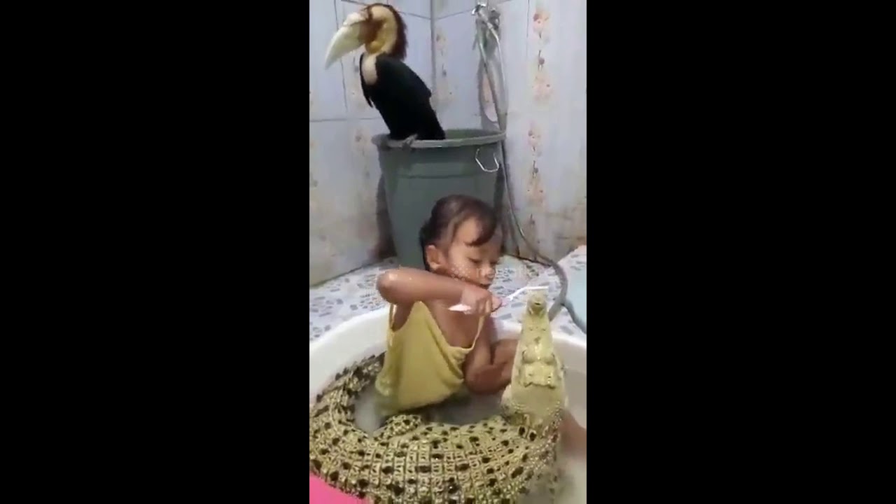 camera iphone 8 plus apk Fearless Girl Brushes Crocodile's Teeth During Bath