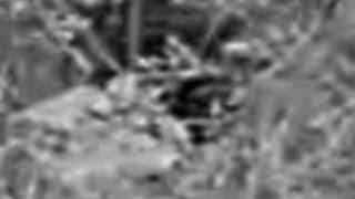 The Dogman Monsters Are Real