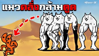 Battle cats Ep.51 - แมวคลั่งกล้ามตูด