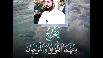 #رعد_الكردي || تلاوة عذبة جميلة 🤍 ‏﴿فَبِأَيِّ آلاءِ رَبِّكُمَا تُكَذِّبَانِ﴾