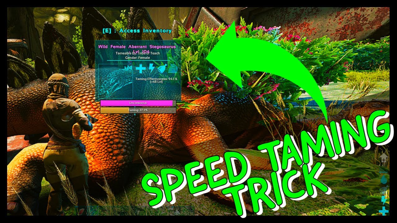 SPEED TAMING TRICK IN ARK! TAME 2x AS FAST! - YouTube