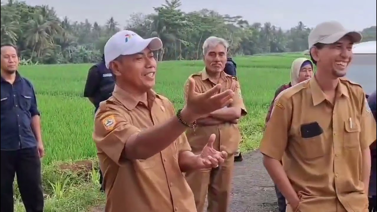 Verifikasi Kegiatan Mina Padi Pokdakan Bangun Tani 1 Ds Kertayasa Kec Mandiraja 