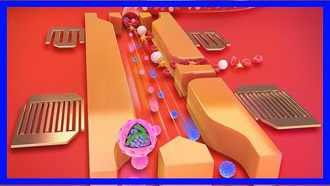 Breaking News | Sound waves enable blood sample analysis in minutes