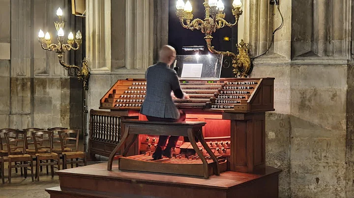 Final et Toccata en sol mineur - Dr Micha Szostak,...