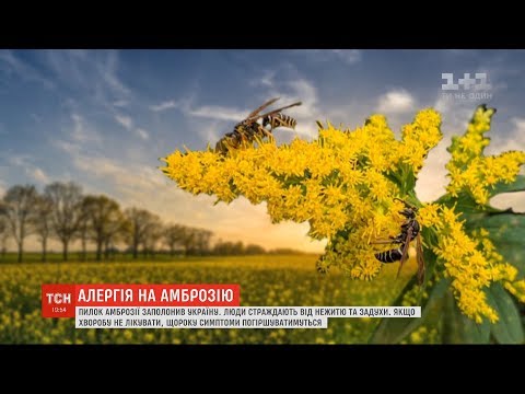 Video: Un Stil De Viață Sănătos A Provocat Alergii - Vedere Alternativă