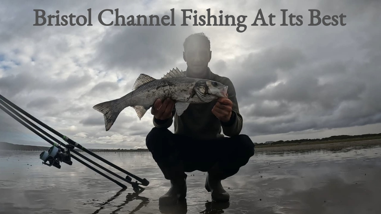 Bristol Channel Fishing At Its Best | Brean Beach | UK Shore Fishing | Somerset
