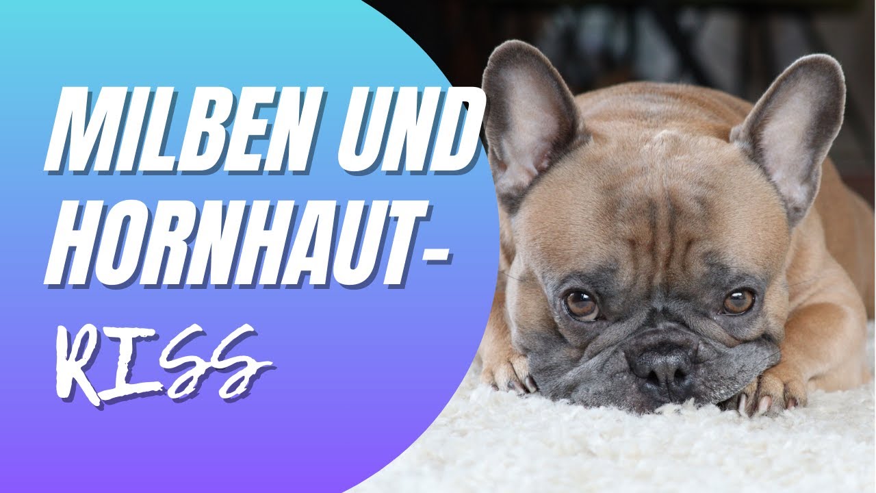 SCHOCK! Milben, Hornhaut-Riss und Amputation - Das geht bei uns ab!