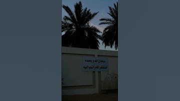 قرآن كريم بصوت جميل ❤️ #قران_كريم #المصحف #اكسبلور #قرآن #الرحمن #لايك #اجر_لي_ولك