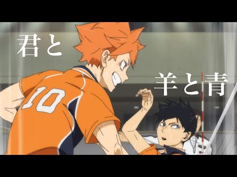【セリフ入りMAD】ハイキュー!! × 君と羊と青