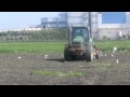 屏東縣的牛背鷺（2013 08 04） の動画、YouTube動画。