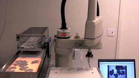 Flexible Feeding with Adept Technology Part 1