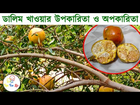 ভিডিও: ডালিমের রস কেন কার্যকর এবং ক্ষতিকারক?