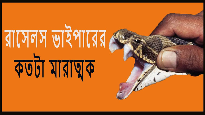 রাসেল ভাইপার সাপ আসলে কতটা ভয়ঙ্কর ? Russel's Viper Snake |