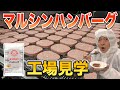 【念願】マルシンハンバーグの工場見学に行ったら、焼きたてのマルシンハンバーグを食べさせてくれました！