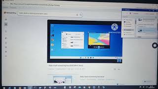 Baby Shark Screaming Bsod Bsod