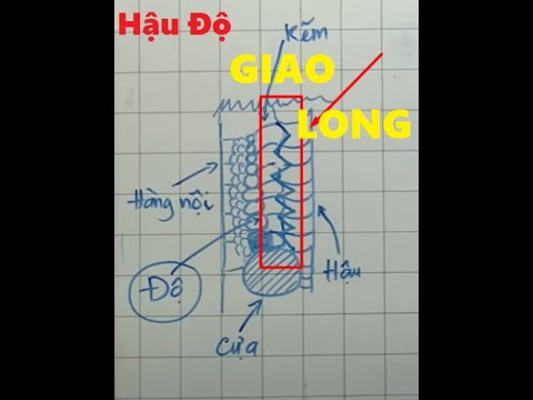 Video [HẬU ĐỘ] - Hậu Độ Giao Long, hậu độ cần biêt | Gà Hay - youtube