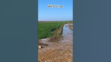 سورة الواقعة #الواقعة #القرآن_الكريم #المصحف #اكسبلور #دعاء_الصباح #تلاوة_هادئة_خاشعة #بحر #المصحف