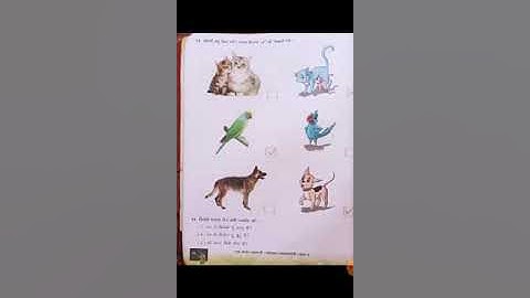 Std 2 Kallol Svadhyaypothi Ch 1 Sharanai, Dholak ane rang Page no 12 to 14 (Part 10)