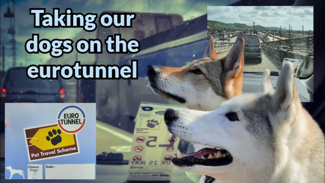 Will we get through the eurotunnel from France to England with 2 dogs