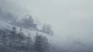 Sleep Well With The Sound Of Blizzard Outside The Old House | Sounds of blizzards and howling winds