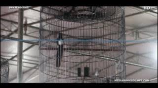 PRESIDEN CUP IV : Ohara Di Kelas Murai Presiden Jadi Juara Di Mata & Hati Penonton