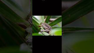 Check out the awesome review and photos from Steve Lee Photography and Benjamin Lee Photography!