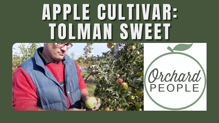 Orchard People Fruit Tree Cultivar Profiles  Tolma...