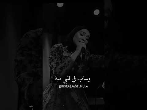 أميرة البيلي الحزن Shorts Shortvideo