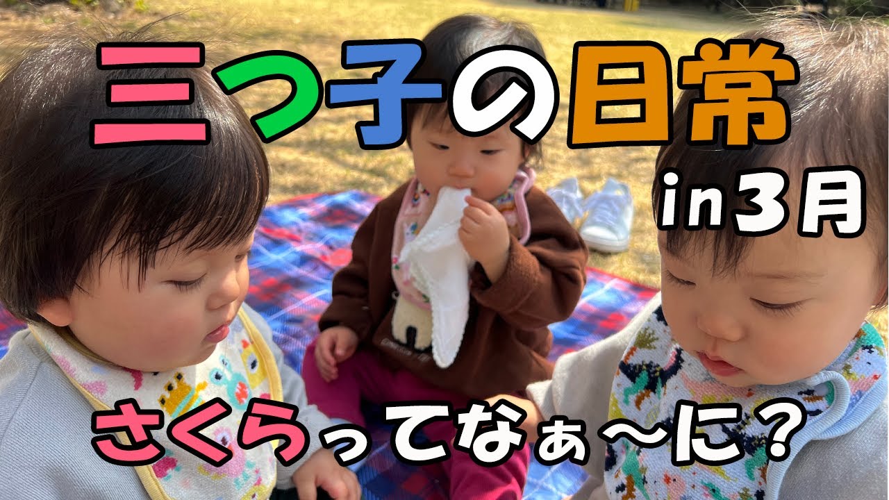 たなかしんこ トリプル・トラブル　三つ子ちゃんが来た！ 三つ子の日常に密着！春のお出掛け特集 - YouTube
