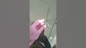 This is the best fish feeder of all time!!! #fishfeedmachine #fishfeed #fishing