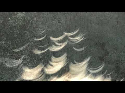 Total Solar Eclipse Crescent Shadows: August 21, 2017