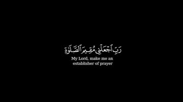 كرومة شاشة سوداء بصوت الشيخ #أحمد_النفيس#سورة_إبراهيم