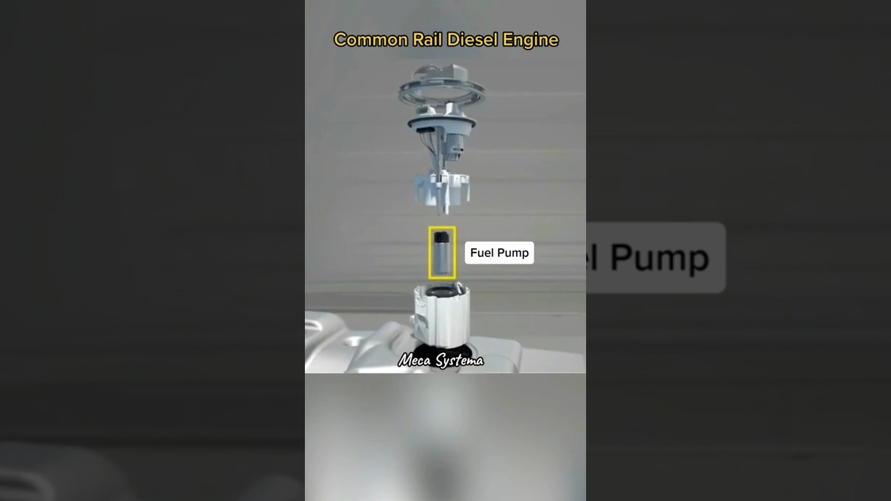 Diesel fuel line system 